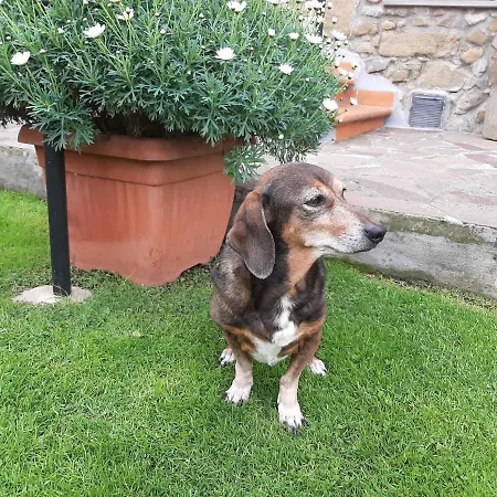 Nocleg ze śniadaniem Retro' Beb La Spezia